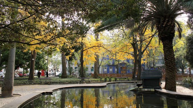 10 razões para se apaixonar por Campo de Ourique